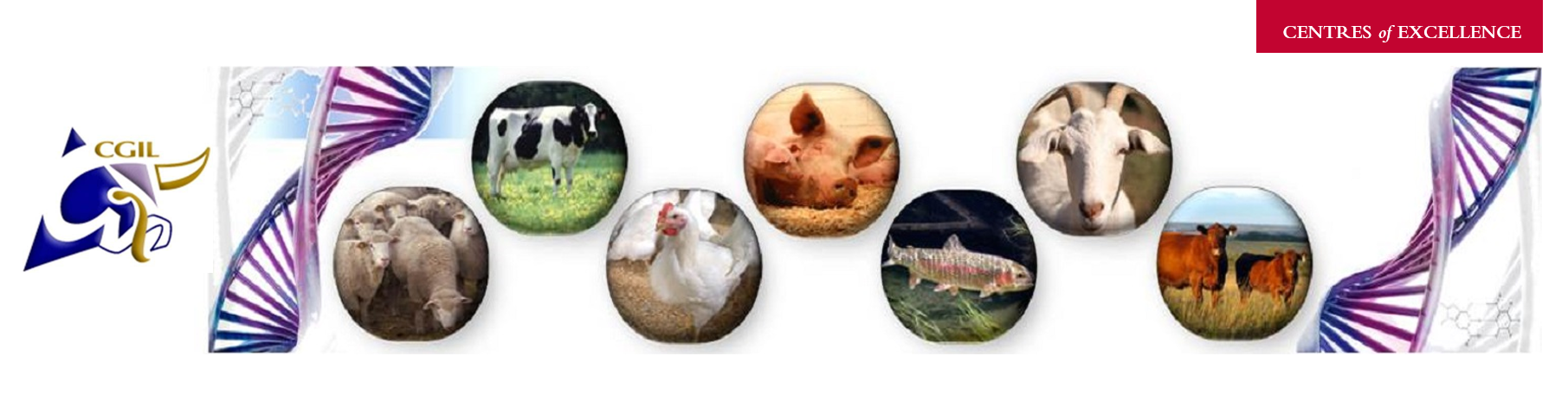 Centre for Genetic Improvement of Livestock | CGIL / Animal Biosciences /  University of Guelph